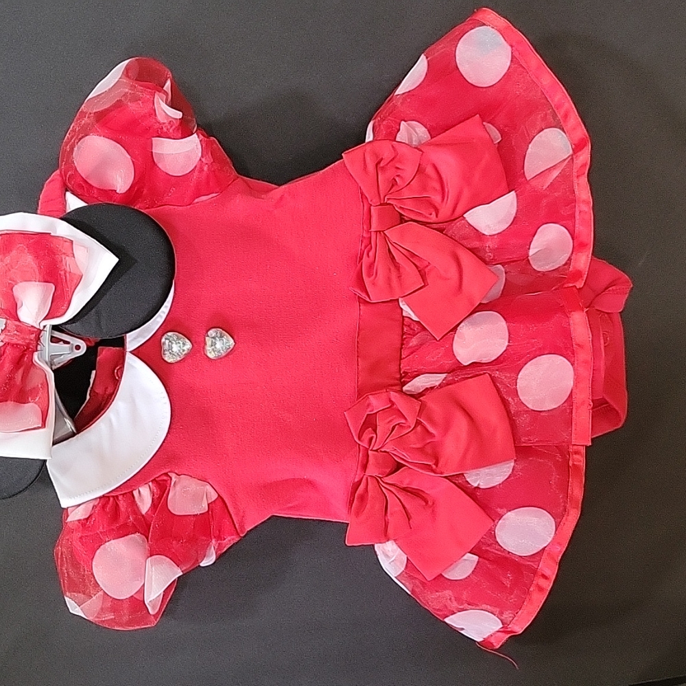 3-6 month Minnie Mouse Costume